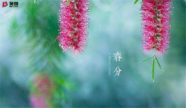 貝朗自動化設備——春分
